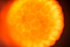 Flare and Flow, 2013-07-04-0017