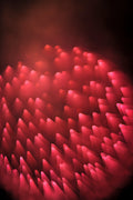 Flare and Flow, 2013-07-04-0019