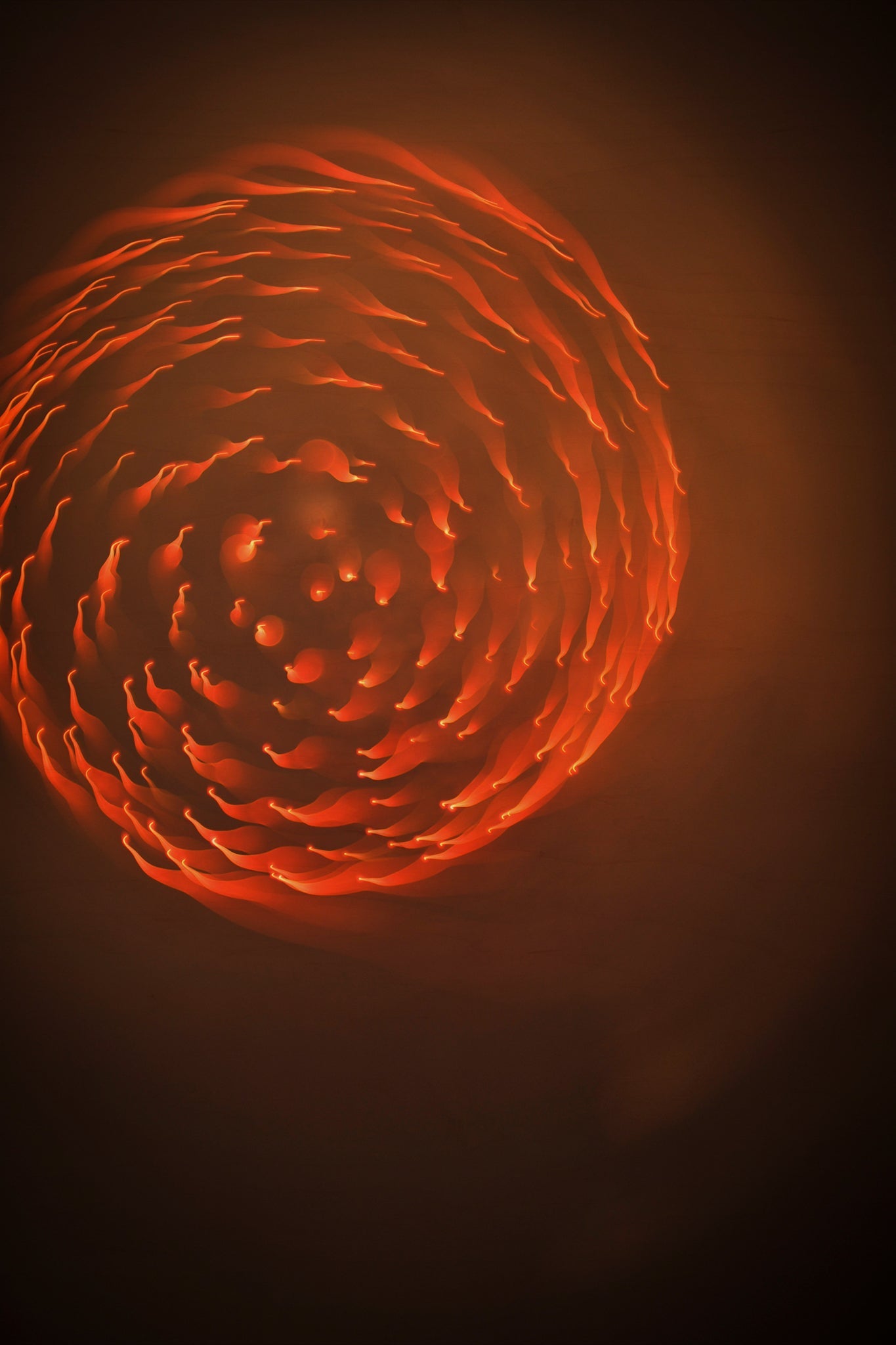 Flare and Flow, 2013-07-04-0026