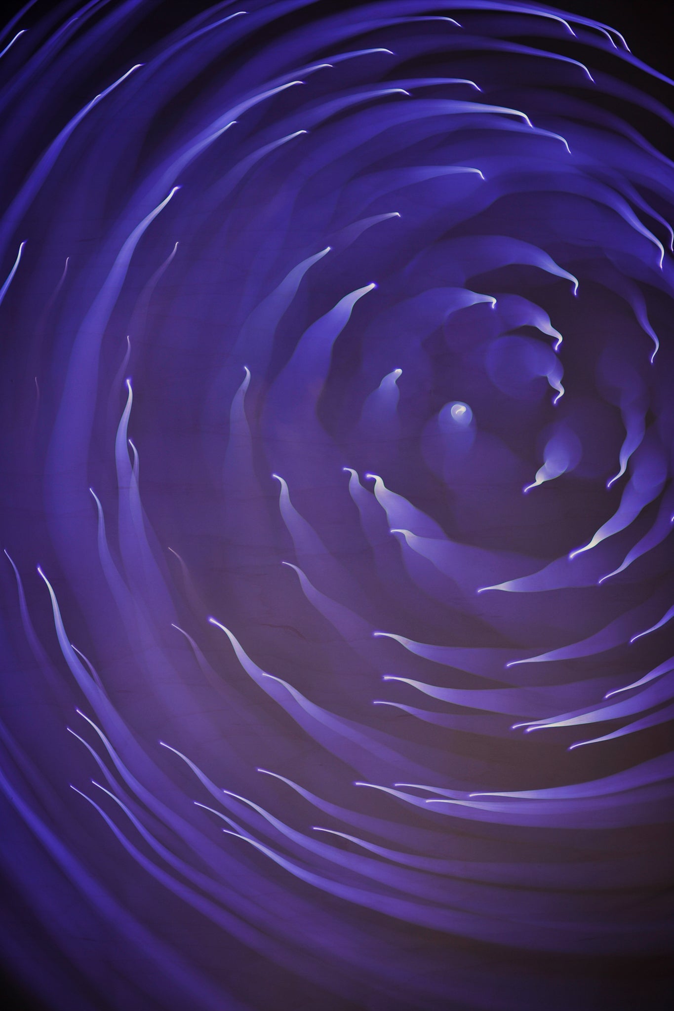 Flare and Flow, 2013-07-04-0029