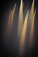 Flare and Flow, 2013-07-04-0040