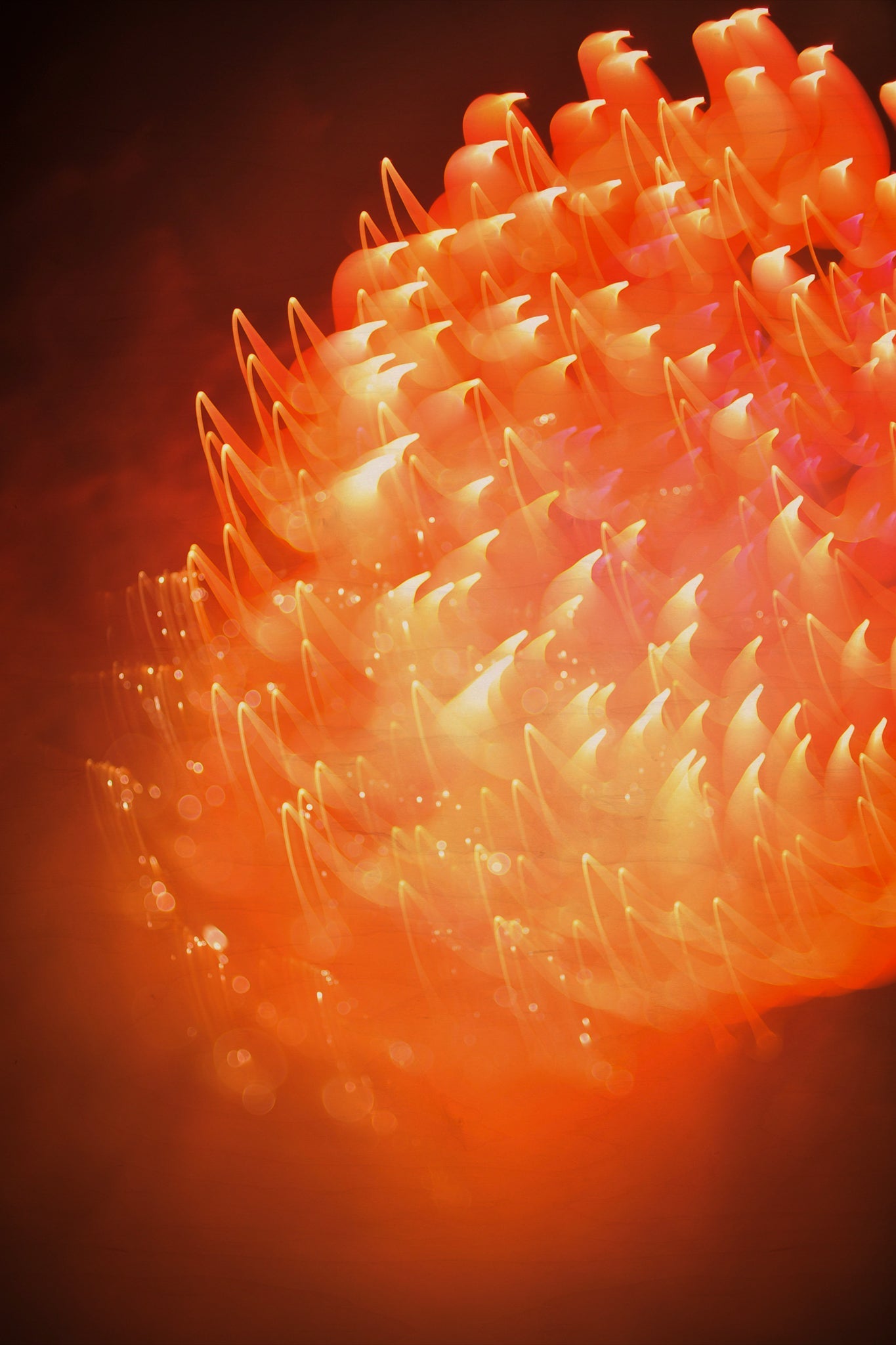 Flare and Flow, 2013-07-04-0065