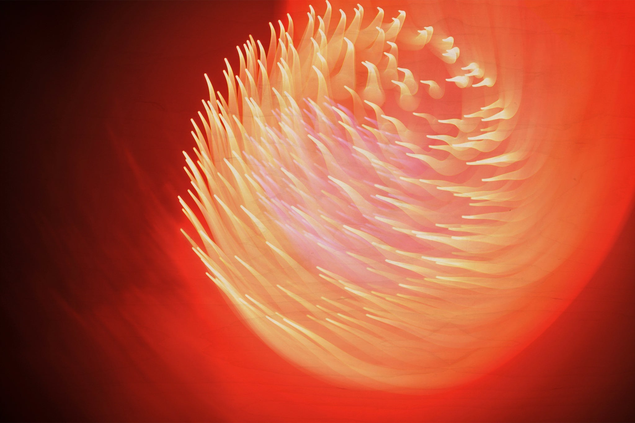 Flare and Flow, 2013-07-04-0097