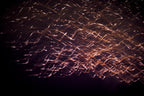 Flare and Flow, 2013-07-04-0146