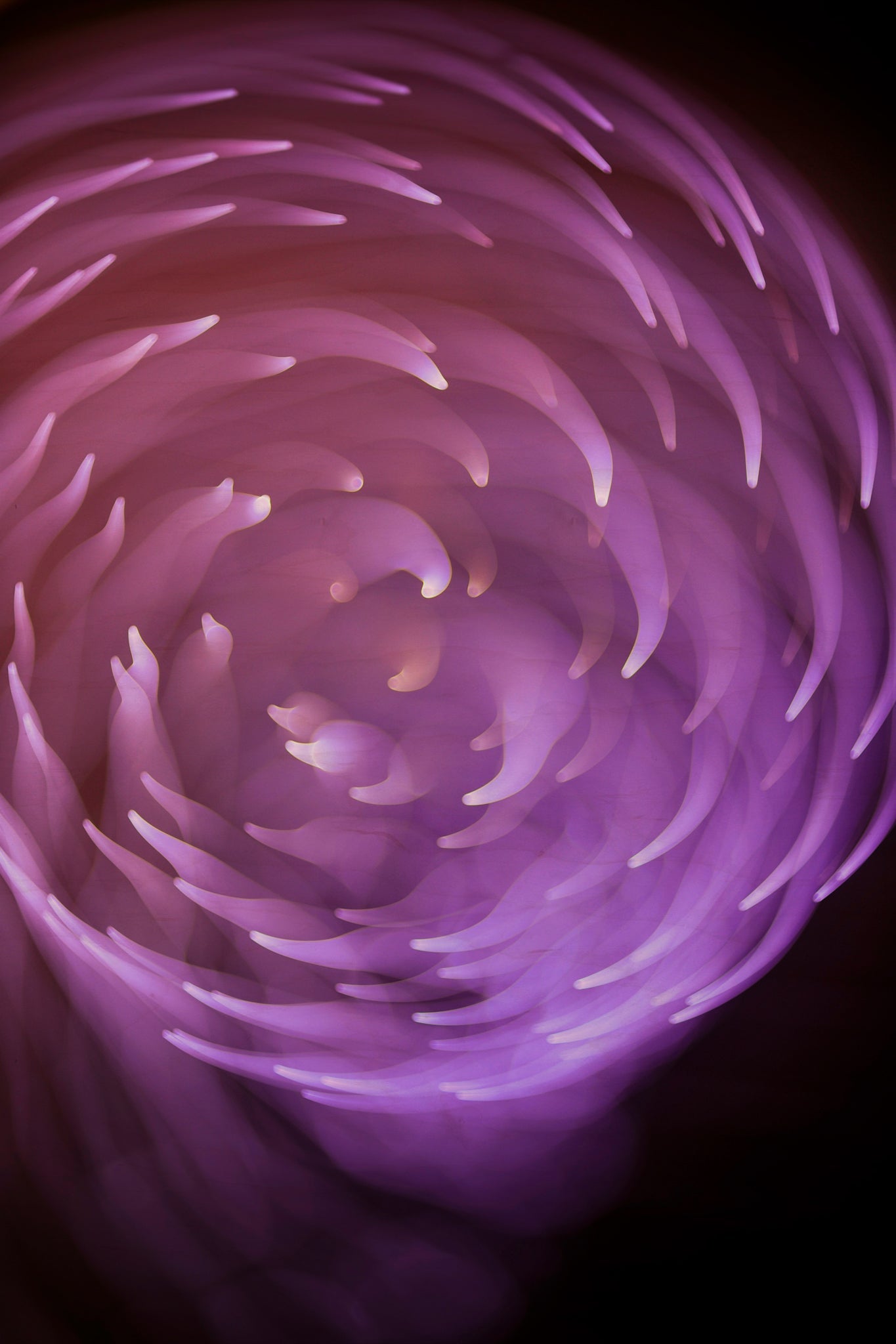 Flare and Flow, 2013-07-04-0260