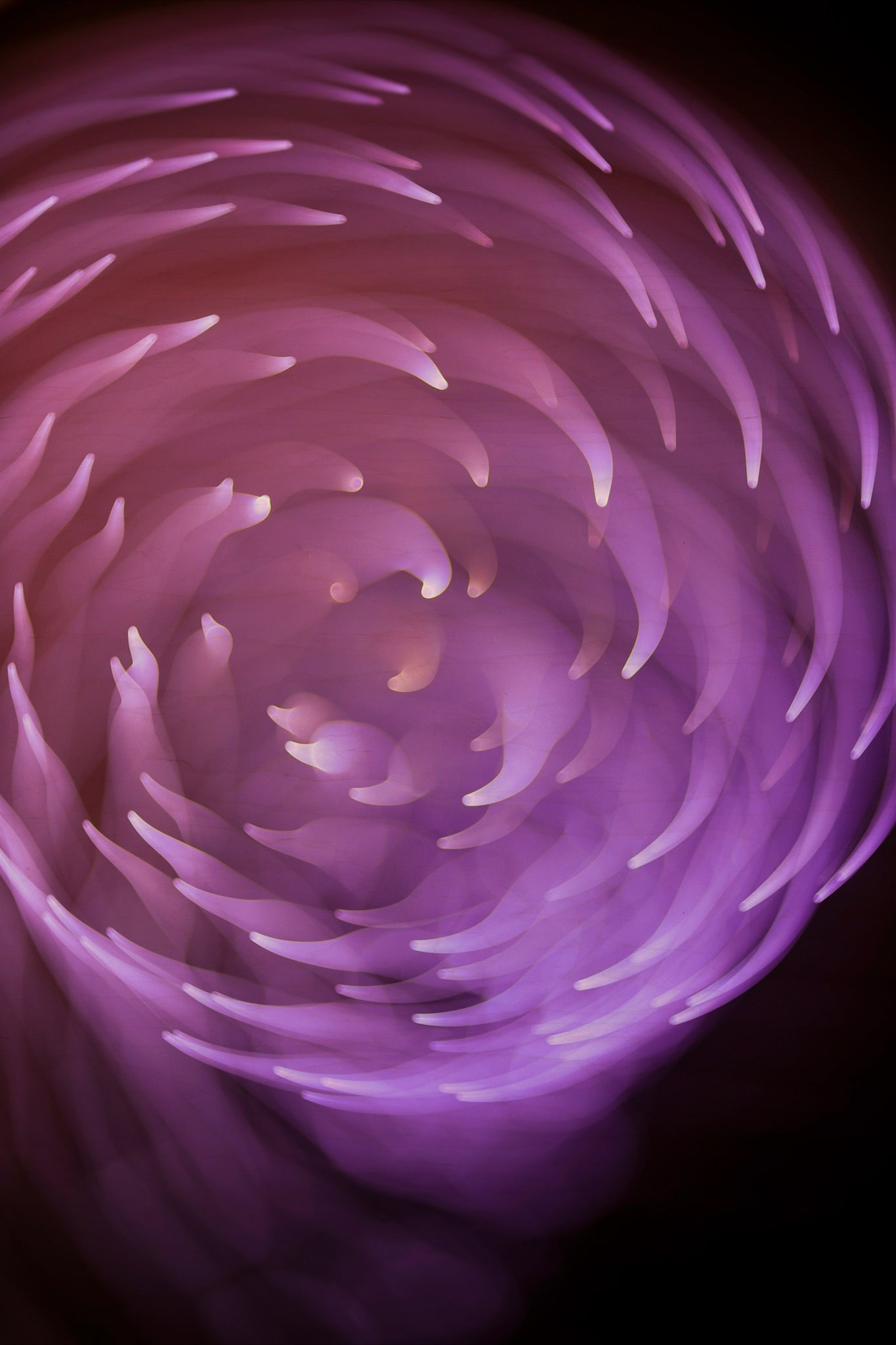 Flare and Flow, 2013-07-04-0260