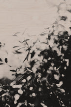 Fraught and Focus, 2012-06-17-3831