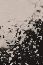 Fraught and Focus, 2012-06-17-3831