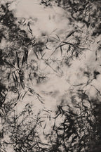 Fraught and Focus, 2012-06-17-4503