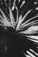 Fraught and Focus, 2018-09-14-0293
