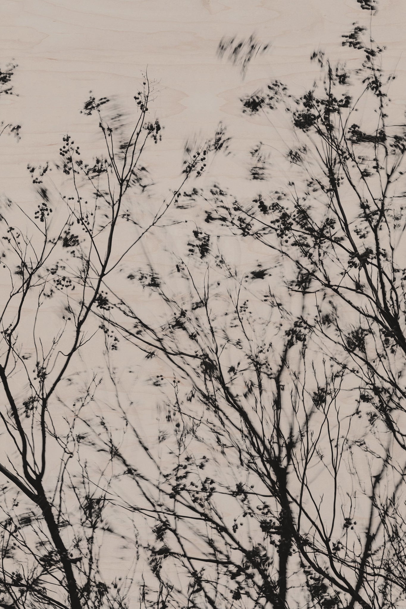 Fraught and Focus, 2022-01-15-0801