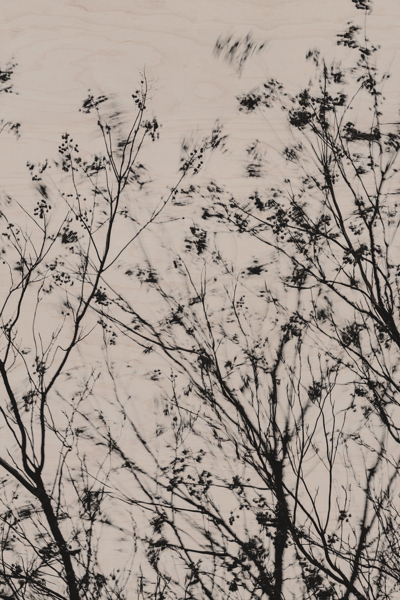 Fraught and Focus, 2022-01-15-0801