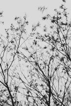 Fraught and Focus, 2022-01-15-0801