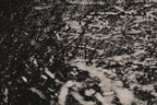 Fraught and Focus, 2022-03-18-1097