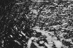 Fraught and Focus, 2022-03-18-1097