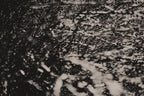Fraught and Focus, 2022-03-18-1097