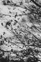 Fraught and Focus, 2022-03-18-1147