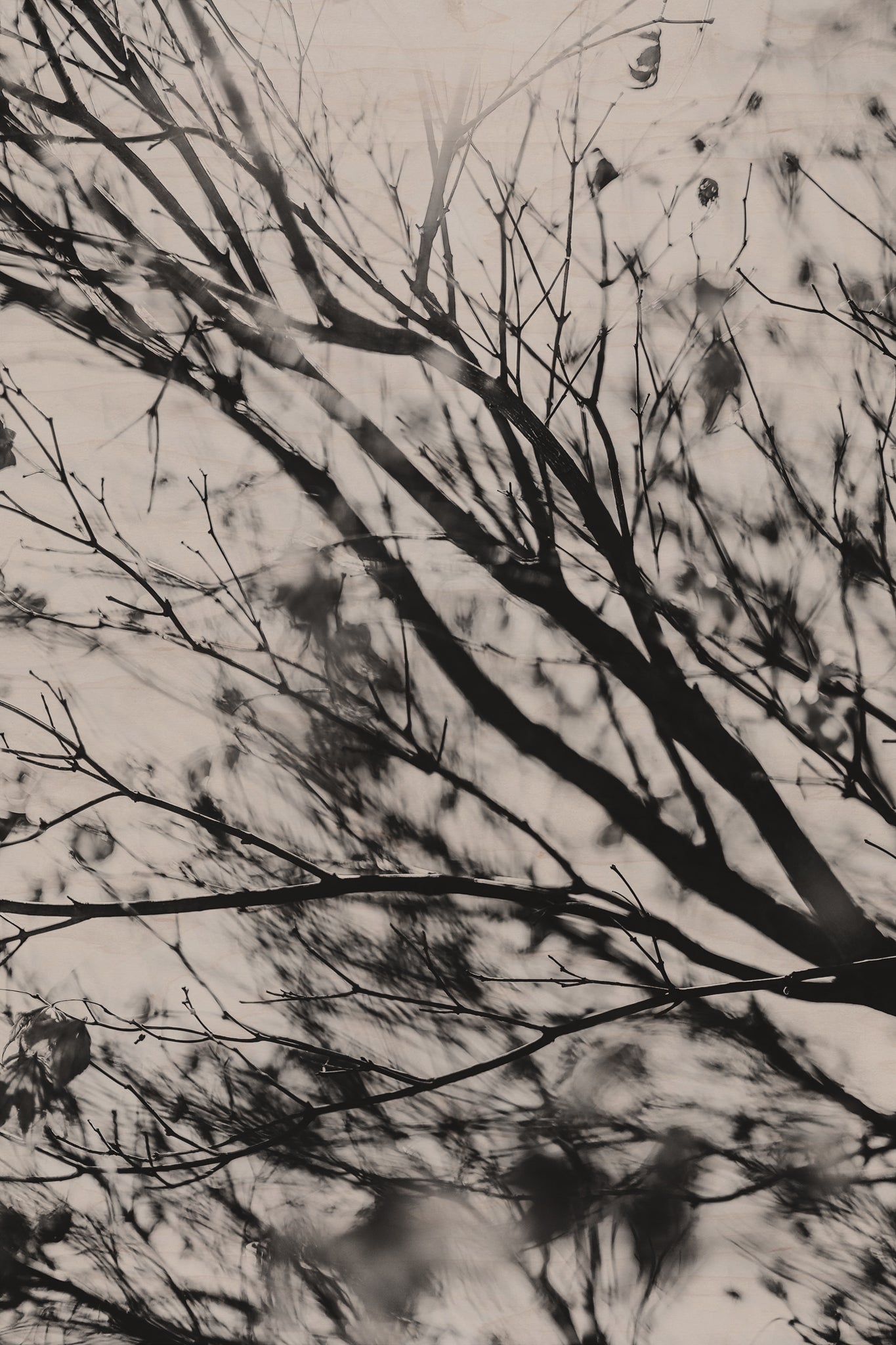 Fraught and Focus, 2022-03-18-1155