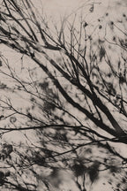Fraught and Focus, 2022-03-18-1155