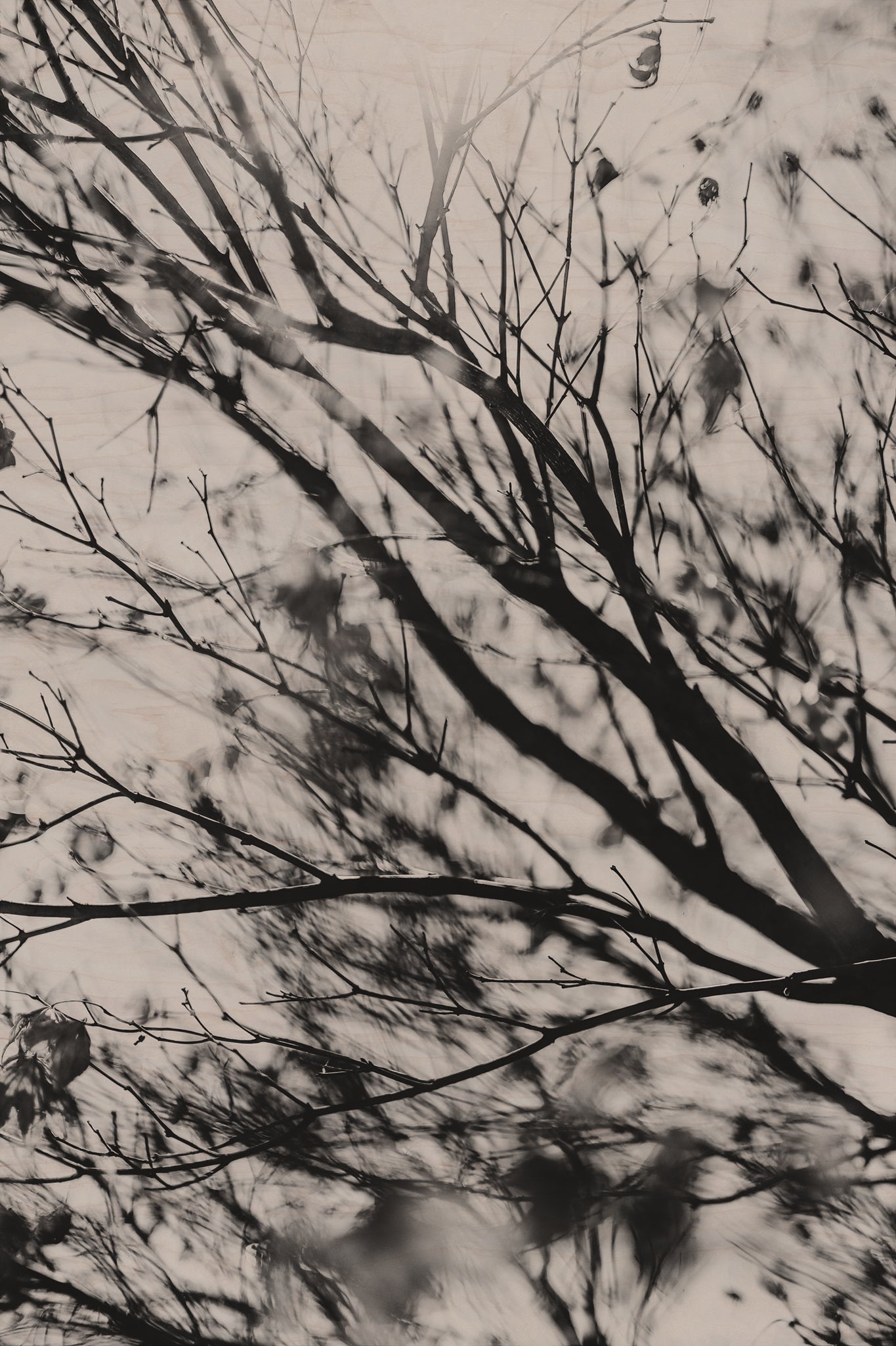 Fraught and Focus, 2022-03-18-1155