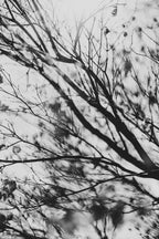 Fraught and Focus, 2022-03-18-1155