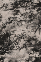 Fraught and Focus, 2022-11-30-1938
