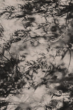 Fraught and Focus, 2022-11-30-1938