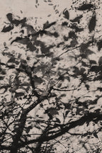 Fraught and Focus, 2022-12-03-2226
