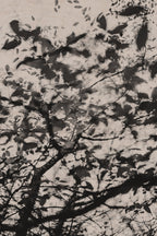Fraught and Focus, 2022-12-03-2226