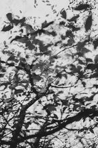 Fraught and Focus, 2022-12-03-2226