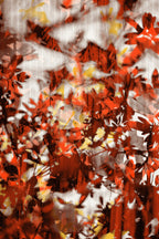 Half and Tones 1.0, 01.0 Index 3 01