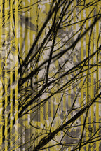 Half and Tones 1.0, 02.1 Index 3 02