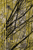 Half and Tones 1.0, 02.1 Index 3 02
