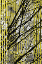 Half and Tones 1.0, 02.1 Index 3 02