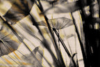 Half and Tones 1.0, 03.0 Index 4 01