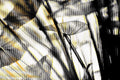 Half and Tones 1.0, 03.0 Index 4 01