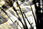 Half and Tones 1.0, 03.0 Index 4 01