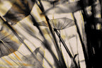 Half and Tones 1.0, 03.0 Index 4 01
