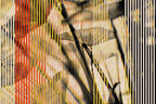 Half and Tones 1.0, 03.1 Index 3 01