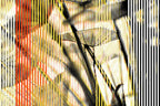 Half and Tones 1.0, 03.1 Index 3 01