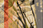 Half and Tones 1.0, 03.1 Index 3 01