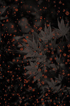 Half and Tones 1.0, 04.0 Index 3 01