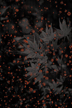 Half and Tones 1.0, 04.0 Index 3 01