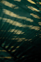 Half and Tones 1.0, 05.0 Index 4 01
