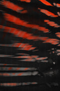 Half and Tones 1.0, 05.1 Index 4 01