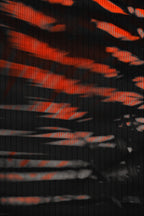 Half and Tones 1.0, 05.1 Index 4 01