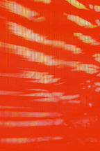 Half and Tones 1.0, 05.2 Index 3 01