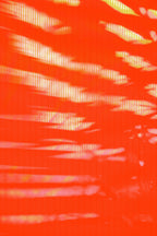 Half and Tones 1.0, 05.2 Index 3 01