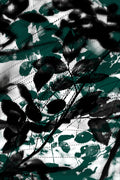 Half and Tones 1.0, 07.0 Index 3 01