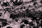 Half and Tones 1.0, 08.2 Index 2 01